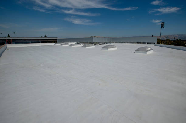 Best Solar Panel Roofing Installation  in La Presa, CA