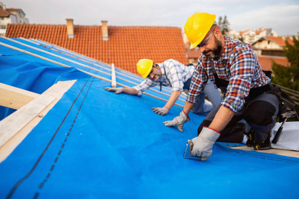 Best Roof Ventilation Installation  in La Presa, CA